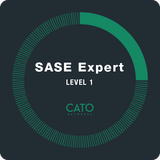 SASE Expert Level 1